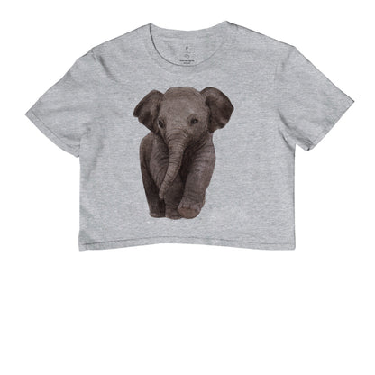 Cropped - Elefante