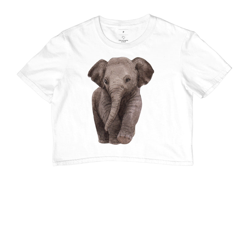 Cropped - Elefante