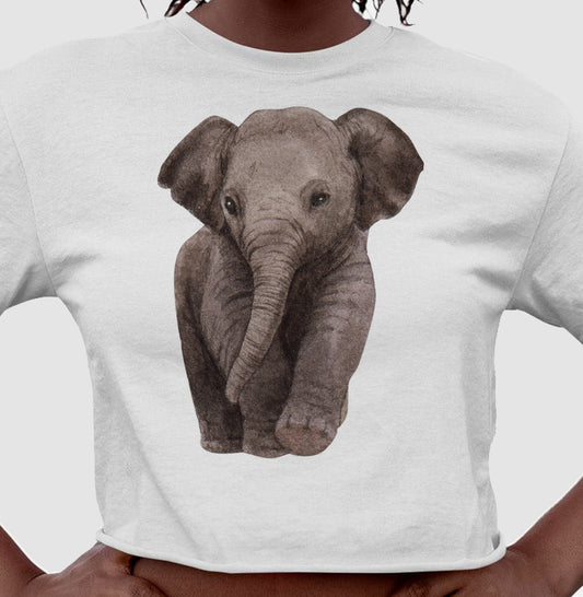 Cropped - Elefante