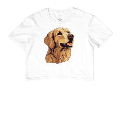 Cropped - Golden Retriever